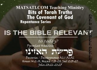 Bits of Torah Truths, פרשת האזינו, Parashat Ha’azinu, Are the Words of Scripture Idle and Irrelevant in the Church Today?