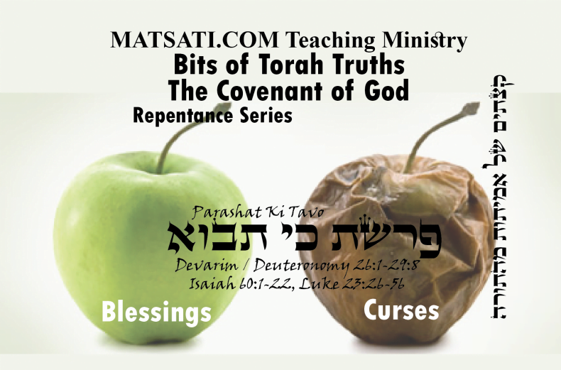 Bits of Torah Truths, פרשת כי תבוא, Parashat Ki Tavo, What Kind of Relationship is this?