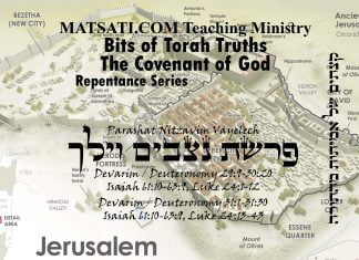 Bits of Torah Truths, פרשת נִצָּבִים-וילך, Parashat Nitzavim/Vayelech, One Man’s Sin may have Corporate Consequences