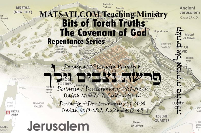 Bits of Torah Truths, פרשת נִצָּבִים-וילך, Parashat Nitzavim/Vayelech, One Man’s Sin may have Corporate Consequences