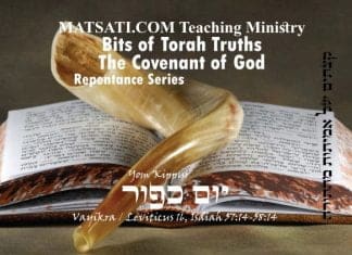 Bits of Torah Truths, יוֹם כִּיפּוּר, Yom Kippur, Victory over Sin in our Lives the Gospel Message and the Message of Torah?