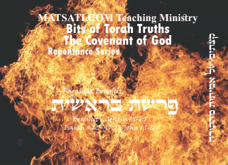Bits of Torah Truths, פרשת בראשית, Parashat Bereshit, A Doctrine that is sending many to Hell!