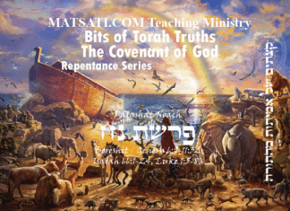 Bits of Torah Truths, Parashat Noach, פרשת נח, The Lord’s Covenant for those who draw near