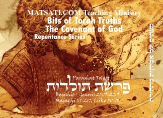Bits of Torah Truths, פרשת תולדות, Parashat Toldot, A Mode of Deception