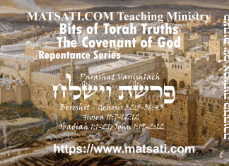 Bits of Torah Truths, פרשת וישלח, Parashat Vayishlach, The Merit of Others?