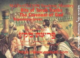 Bits of Torah Truths, פרשת מקץ, Parashat Miketz, Unrepentant until being Confronted with Sin?