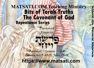 Bits of Torah Truths, פרשת ויגש, Parashat Vayechi, The Right Perspective for Walking with God