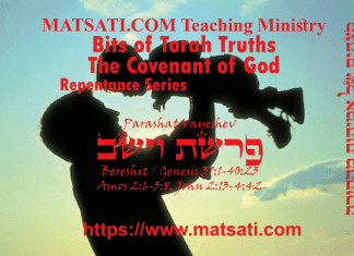 Bits of Torah Truths, פרשת וישב, Parashat Vayeshev, The influences of a loving Father
