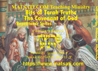 Bits of Torah Truths, פרשת ויגש, Parashat Vayigash, The Requirements of Good Leadership