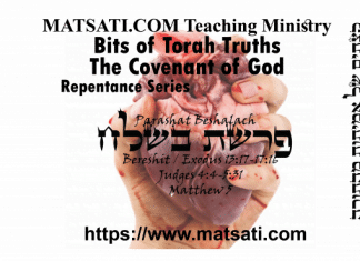 Bits of Torah Truths, פרשת בשלח, Parashat Beshalach, Having a change of heart