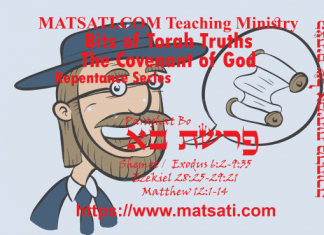 Bits of Torah Truths, פרשת בא, Parashat Bo, Properly Proclaiming the Name of God