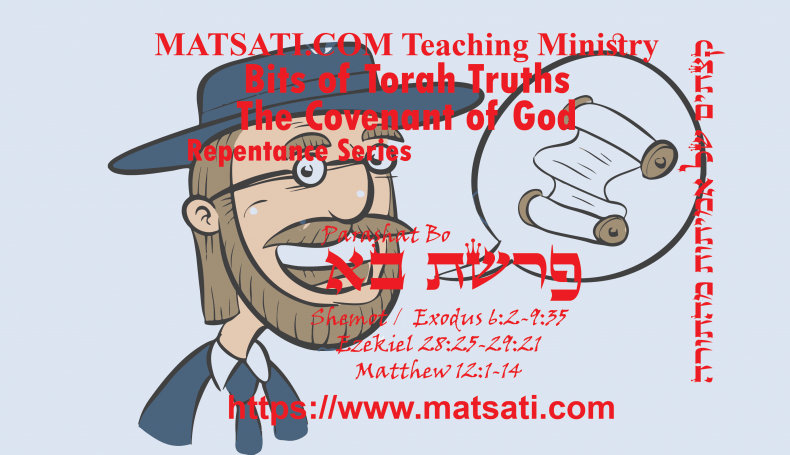 Bits of Torah Truths, פרשת בא, Parashat Bo, Properly Proclaiming the Name of God