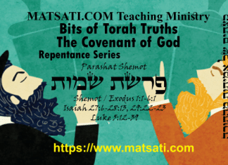 Bits of Torah Truths, פרשת שמות, Parashat Shemot, Proving the Anti-Missionaries Wrong with their own Scriptures!