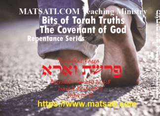 Bits of Torah Truths, פרשת וארא, Parashat Va’era, This is what it means to Live and Walk in Faith!