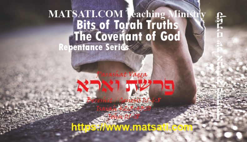 Bits of Torah Truths, פרשת וארא, Parashat Va’era, This is what it means to Live and Walk in Faith!