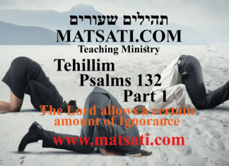Tehillim / Psalms 132, ספר תהילים קלב, Part 1, The Lord allows a certain amount of Ignorance