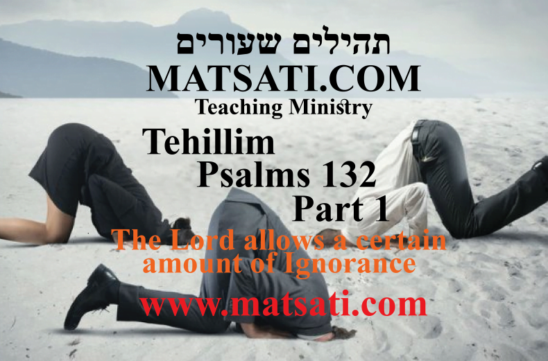 Tehillim / Psalms 132, ספר תהילים קלב, Part 1, The Lord allows a certain amount of Ignorance