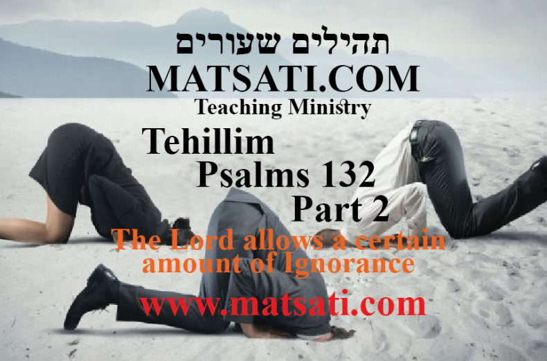 Tehillim / Psalms 132, ספר תהילים קלב, Part 2, The Lord allows a certain amount of Ignorance