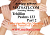 Tehillim / Psalms 133, ספר תהילים קלג, Part 2, Understanding the Meaning and Nature of Unity!