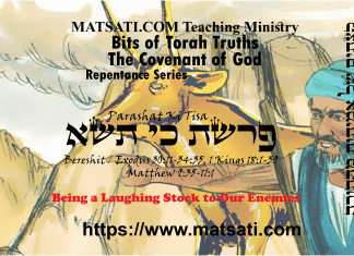Bits of Torah Truths, פרשת כי תשא, Parashat Ki Tisa, Being a Laughing Stock to Our Enemies