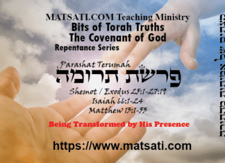 Bits of Torah Truths, Parashat Terumah, פרשת תרומה, Being Transformed by His Presence
