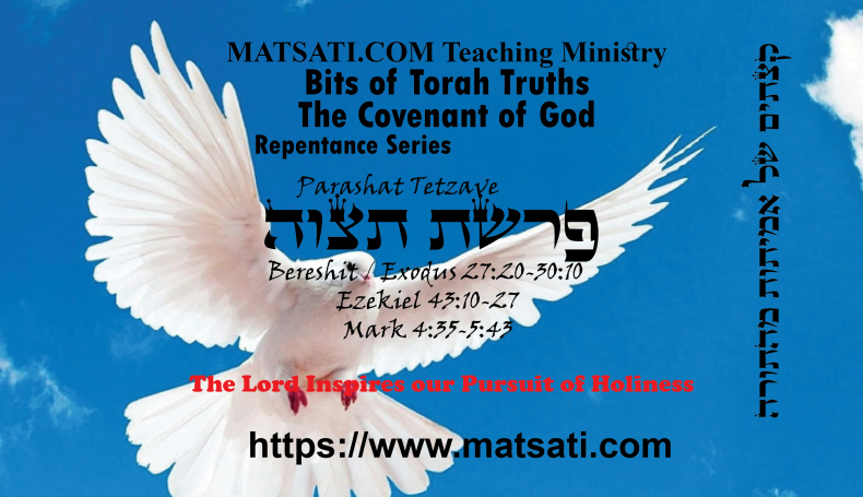 Bits of Torah Truths, פרשת תצוה, Parashat Tetzaveh, The Lord Inspires our Pursuit of Holiness