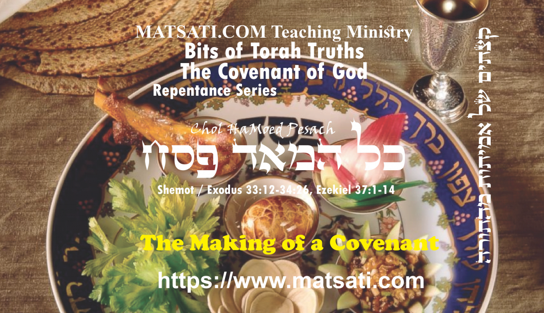 Bits Of Torah Truths, פרשת כל המאד פסח, Parashat Chol HaMoed Pesach