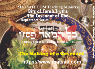 Bits of Torah Truths, פרשת כל המאד פסח, Parashat Chol HaMoed Pesach, The Making of a Covenant