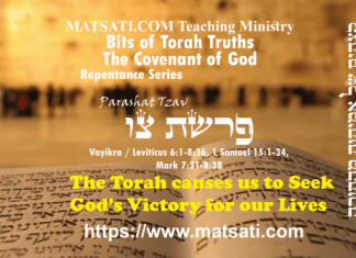 Bits of Torah Truths, פרשת צו, Parashat Tzav, The Torah causes us to Seek God’s Victory for our Lives