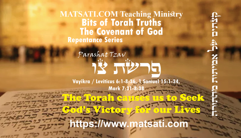 Bits of Torah Truths, פרשת צו, Parashat Tzav, The Torah causes us to Seek God’s Victory for our Lives