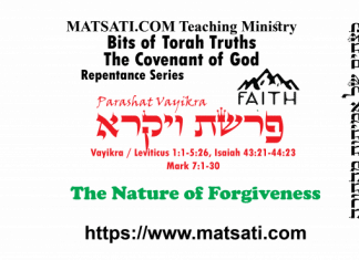 Bits of Torah Truths, פרשת ויקרא, Parashat Vayikra, The Nature of Forgiveness