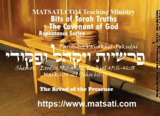 Bits of Torah Truths, פרשיות ויקהל פקודי, Parashat Vayak’hel/Pekudei, The Bread of the Presence