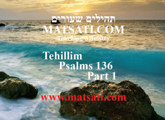 Tehillim / Psalms 136, ספר תהילים קל, Part 1, Suffering for the Sake of the Lord