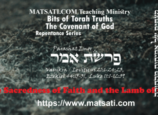 Bits of Torah Truths, פרשת אמר, Parashat Emor, The Sacredness of Faith and the Lamb of God