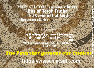 Bits of Torah Truths, פרשת שמיני, Parashat Shemini, The Path that governs our Choices
