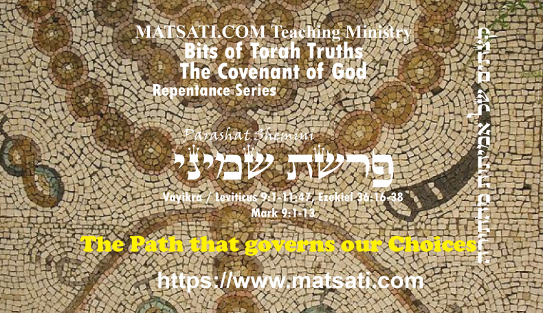 Bits of Torah Truths, פרשת שמיני, Parashat Shemini, The Path that governs our Choices