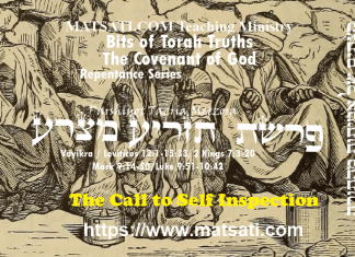 Bits of Torah Truths, פרשת תזריע מצרע, Parshiyot Tazria / Metzora, The Call to Self Inspection