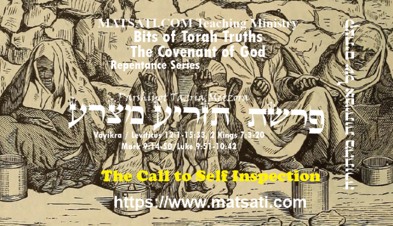Bits of Torah Truths, פרשת תזריע מצרע, Parshiyot Tazria / Metzora, The Call to Self Inspection