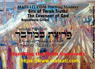 Bits of Torah Truths, פרשת במדבר, Parashat Bamidbar, Handling the Faith Carelessly