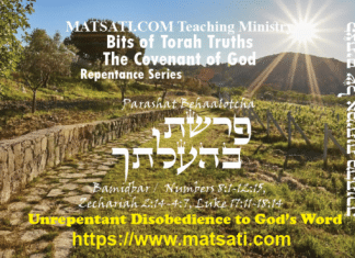 Bits of Torah Truths, פרשת בהעלתך, Parashat Behaalotcha, Unrepentant Disobedience to God’s Word