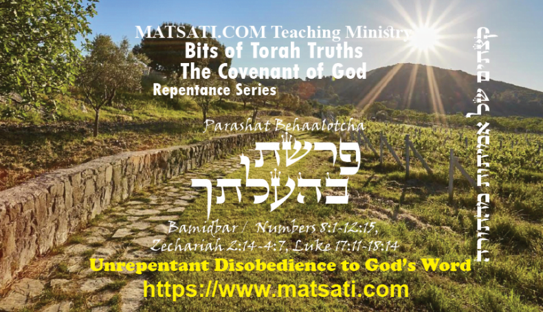 Bits of Torah Truths, פרשת בהעלתך, Parashat Behaalotcha, Unrepentant Disobedience to God’s Word