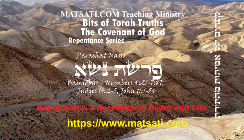 Bits of Torah Truths, פרשת נשא, Parashat Naso, Repentance, a necessity of Heart and Life