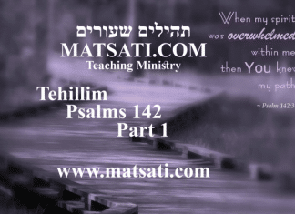 Tehillim / Psalms 142, ספר תהילים קמב, Part 1, Prayer without Complaint or Wantonness