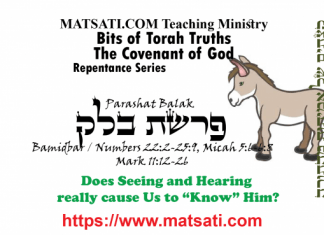 Bits of Torah Truths, Parashat Balak, The importance of Prayer