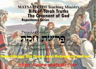 Bits of Torah Truths, פרשת חקת, Parashat Chukat, Sanctifying His Name and Belonging to God