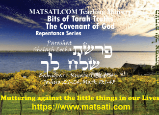Bits of Torah Truths, פרשת שלח לך, Parashat Shelach Lecha, Muttering against the little things in our Lives