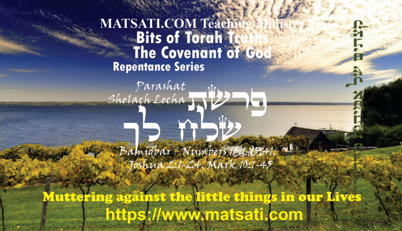 Bits of Torah Truths, פרשת שלח לך, Parashat Shelach Lecha, Muttering against the little things in our Lives
