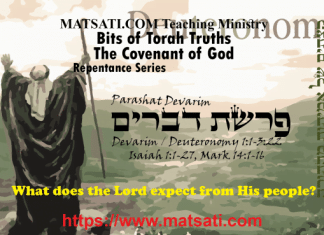 Bits of Torah Truths, פרשת דברים, Parashat Devarim, What does the Lord expect from His people?