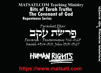 Bits of Torah Truths, פרשת עקב, Parashat Ekev, Liberty and Human Rights are God Given