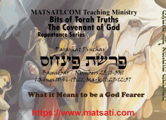 Bits of Torah Truths, פרשת פינחס, Parashat Pinchas, What it Means to be a God Fearer